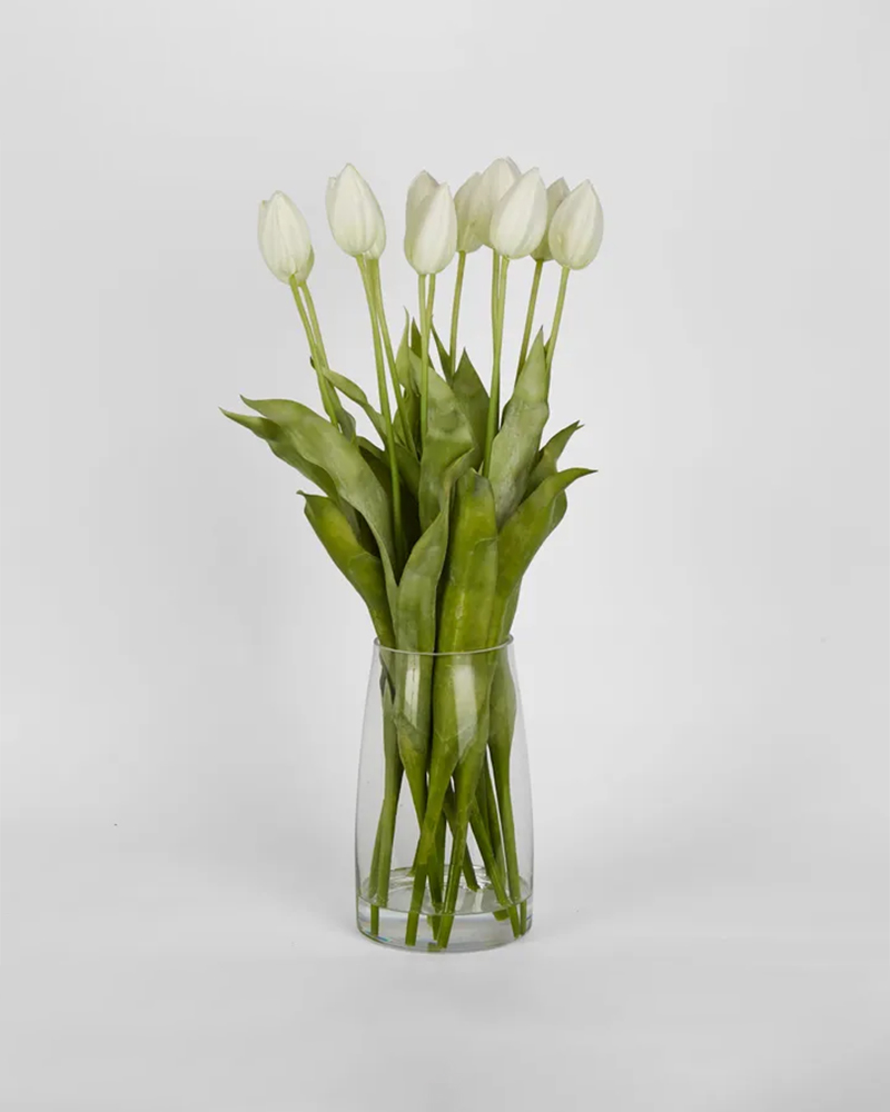 Tulip