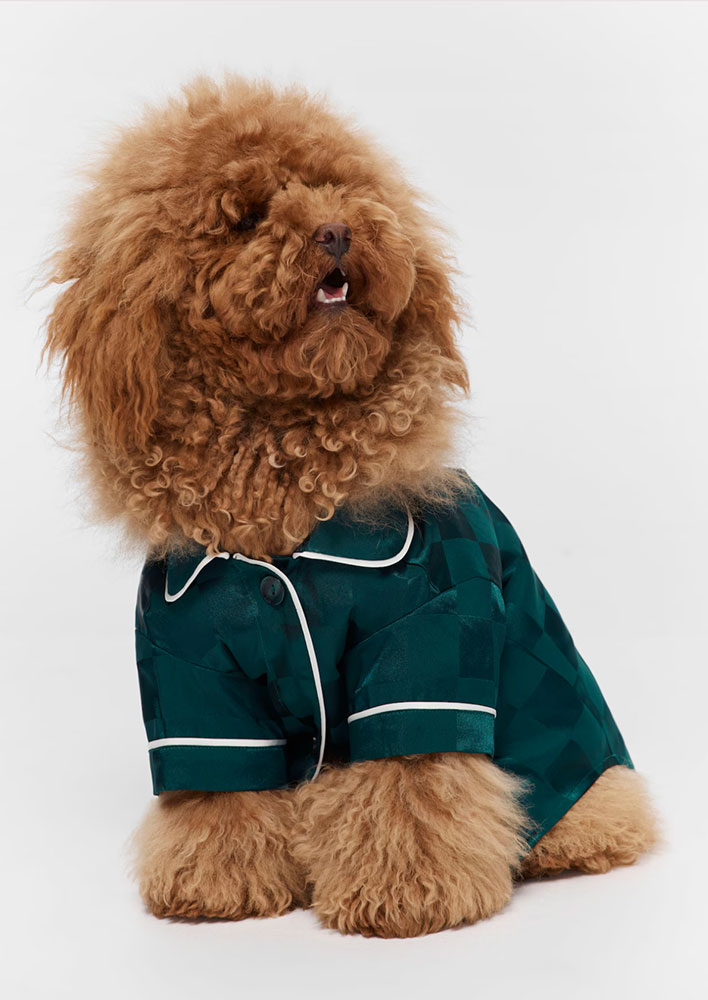 Peter-Alexander-Jolly-Green-Dog-Satin-Shirt-59.95