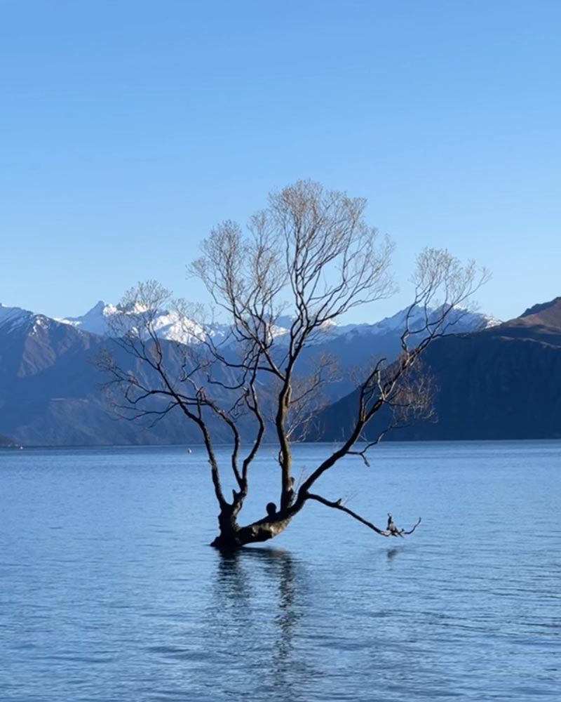 Wanaka-2